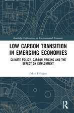 Low Carbon Transition in Emerging Economies