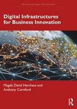 Digital Infrastructures for Business Innovation