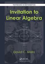 Invitation to Linear Algebra