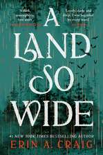 A Land So Wide: A breathtaking, deliciously dark fairy tale from #1 New York Times and USA Today bestselling author Erin A. Craig