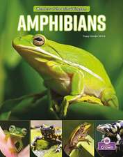 Amphibians