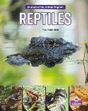 Reptiles