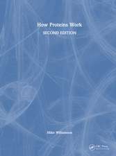 How Proteins Work