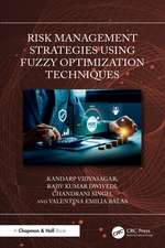 Risk Management Strategies Using Fuzzy Optimization Techniques