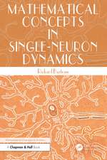 Mathematical Concepts in Single-Neuron Dynamics