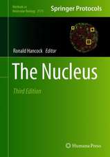 The Nucleus