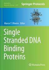 Single Stranded DNA Binding Proteins