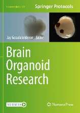 Brain Organoid Research