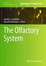 The Olfactory System