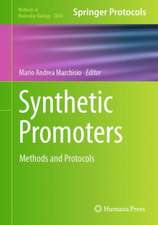 Synthetic Promoters: Methods and Protocols