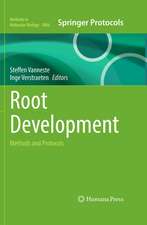 Root Development