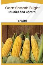 Corn Sheath Blight Studies and Control