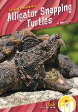 Alligator Snapping Turtles