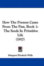 How The Present Came From The Past, Book 1