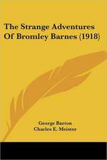 The Strange Adventures Of Bromley Barnes (1918)