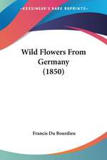 Wild Flowers From Germany (1850)