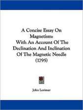 A Concise Essay On Magnetism