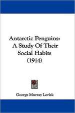 Antarctic Penguins