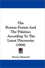 The Roman Forum And The Palatine