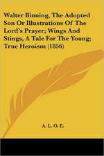 Walter Binning, The Adopted Son Or Illustrations Of The Lord's Prayer; Wings And Stings, A Tale For The Young; True Heroism (1856)