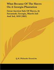 What Became Of The Slaves On A Georgia Plantation