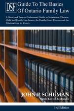 The Devry Smith Frank Llp Guide to the Basics of Ontario Family Law, 3rd Edition