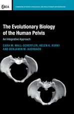 The Evolutionary Biology of the Human Pelvis: An Integrative Approach