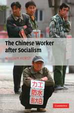 The Chinese Worker after Socialism