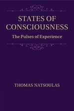 States of Consciousness: The Pulses of Experience