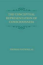 The Conceptual Representation of Consciousness