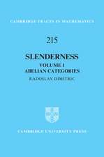 Slenderness: Volume 1, Abelian Categories