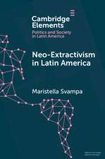 Neo-extractivism in Latin America: Socio-environmental Conflicts, the Territorial Turn, and New Political Narratives