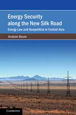 Energy Security along the New Silk Road: Energy Law and Geopolitics in Central Asia