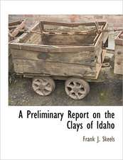 A Preliminary Report on the Clays of Idaho