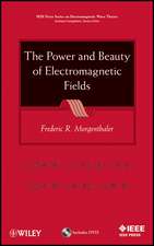 The Power and Beauty of Electromagnetic Fields