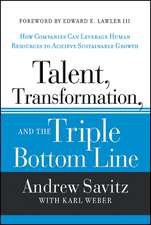 Talent, Transformation, and the Triple Bottom Line – How Companies Can Leverage Human Resources to Achieve Sustainable Growth