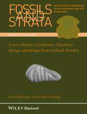 Fossils and Strata, Number 60, A New Silurian (Llandovery, Telychian) Sponge Assemblage from Gotland, Sweden V 60