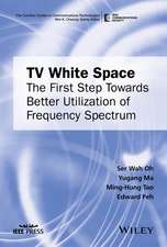 TV White Space – The First Step Towards Better Utilization of Frequency Spectrum