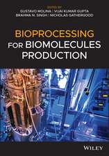 Bioprocessing for Biomolecules Production