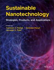 Sustainable Nanotechnology – Strategies, Products, and Applications