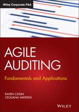 Watkins, C: Agile Auditing