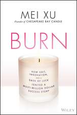 Burn: How Grit, Innovation, and a Dash of Luck Ignited a Multi–Million Dollar Success Story