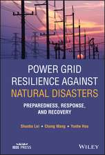 Power Grid Resilience against Natural Disasters – Preparedness, Response, and Recovery