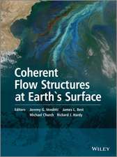 Coherent Flow Structures at Earth`s Surface