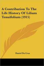 A Contribution To The Life History Of Lilium Tenuifolium (1915)