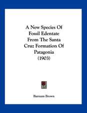 A New Species Of Fossil Edentate From The Santa Cruz Formation Of Patagonia (1903)