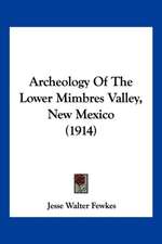 Archeology Of The Lower Mimbres Valley, New Mexico (1914)