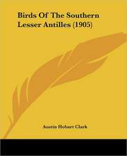 Birds Of The Southern Lesser Antilles (1905)