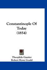 Constantinople Of Today (1854)