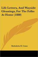 Life Letters, And Wayside Gleanings, For The Folks At Home (1880)